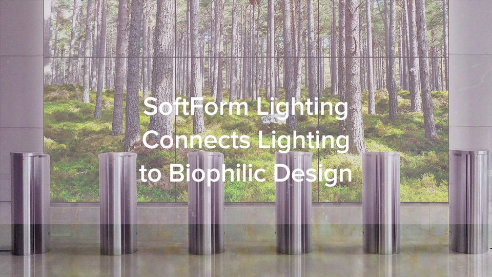 Biophilic Design Connects Architecture to Nature